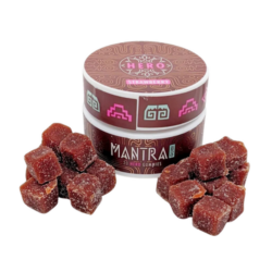 Mantra Hero Mushroom GUMMIES - 5g