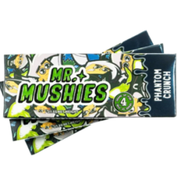 Mr Mushies Mushroom Chocolate Bar 4g