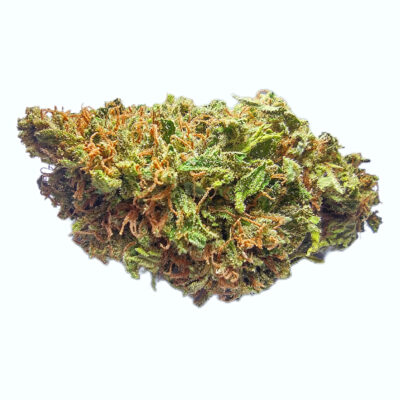 Blue Dream - Pine Dream pheno - Sativa 1/4 oz