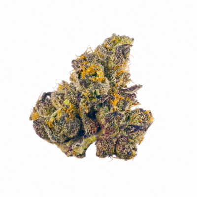 Sherbacio – Exotic Flower (Hybrid) – 14g