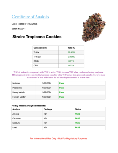 Tropicana Cookies - Sativa Hybrid 7g - Image 3